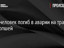 Один человек погиб в аварии на трассе под Ропшей