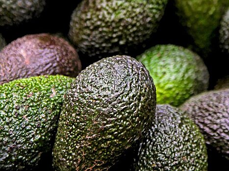 Диетолог Семёнова посоветовала худеющим съедать не более двух авокадо в день