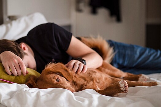 Поза имеет значение: для любителей спать на спине появилась плохая новость