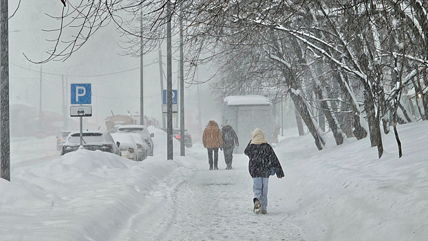 Последствия циклона «Джулиан». В Новгородской области 26 тысяч человек остались без света