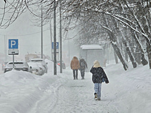 Последствия циклона «Джулиан». В Новгородской области 26 тысяч человек остались без света