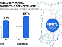 В Пермском крае резко вырос спрос на аренду загородных домов. Инфографика