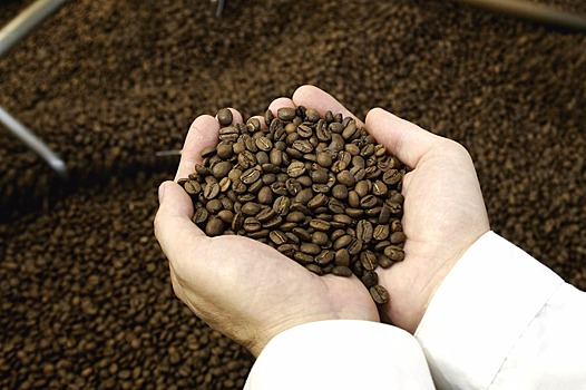 Ставропольские технологии обжарки кофе получат поддержку местных властей