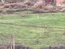 Появилось видео уничтожения пехоты ВСУ в Северске из засады