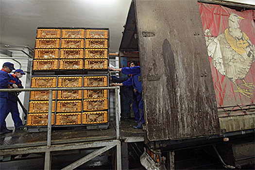 Объем автомобильного грузооборота в январе вырос на 11,2%