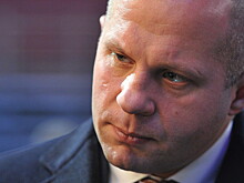 Два года за удар по Емельяненко