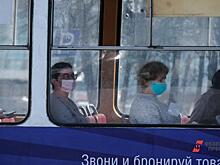 Депутат Катав-Ивановска заявила о проблемах с масками в аптеках