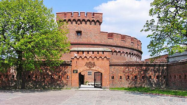 Калининградские музеи планируют открыть до 1 июля