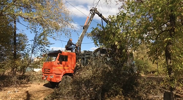 До 20 октября коммунальные службы Оренбурга бесплатно вывозят спилы деревьев с площадок ТКО