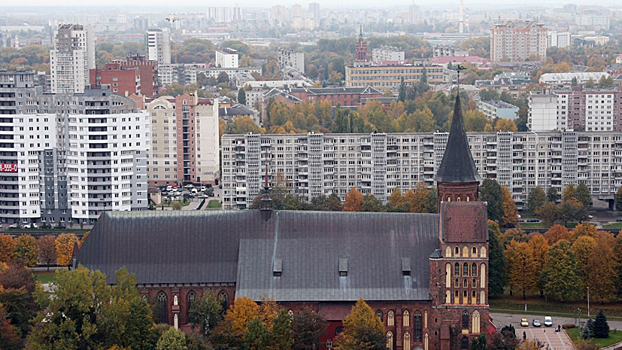 В Калининградской области рассказали о мерах поддержки населения