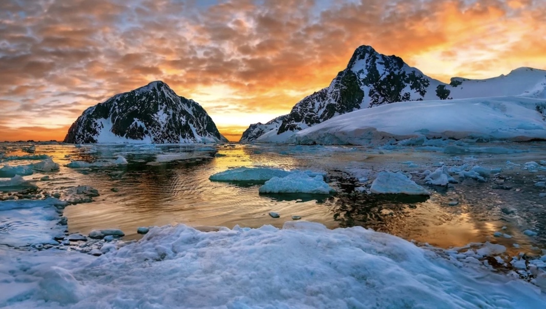 Морских бабочек и пауков нашли ученые у побережья Антарктиды