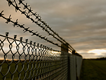 В Благовещенске осудили жителя Башкирии, который демонстрировал нацистские татуировки в СИЗО