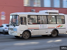 Мэрию Кургана заставляют отчитаться перед депутатами по транспортной реформе