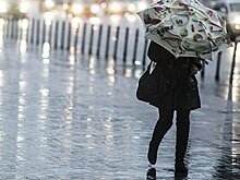 В России появятся погодные биржевые инструменты