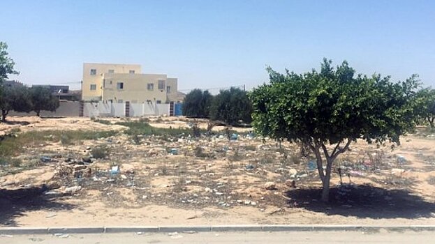 Терроризм и экономический кризис поставили под вопрос будущее Туниса