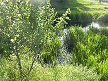 Как уберечь детей от трагической смерти в воде на летних каникулах