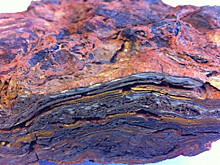 Геологи установили древнейшее свидетельство жизни на Земле