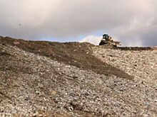 Время и деньги. Мусорный полигон «Новосёлки» рекультивируют в 2020 году?