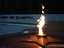 В Кургане женщину обязали заплатить миллион за пьяный танец на Мемориальном комплексе