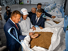 Импортные семена заменят местными