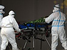 В России выявлено 11 198 новых случаев COVID-19