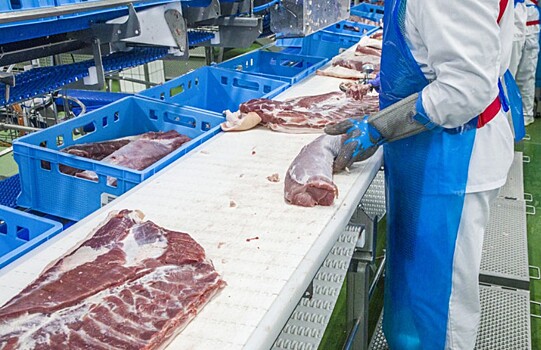 В ТиНАО будет построен мясоперерабатывающий комплекс