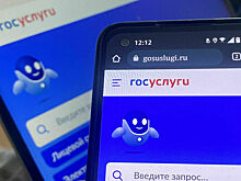 Минцифры предложило ввести проверку маркировки товаров через госуслуги