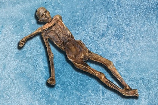 Ученым удалось воссоздать голос 5800-летней мумии, найденной в Альпах