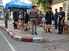 Европеец оказался замешан в деле пропавшей в Таиланде россиянки