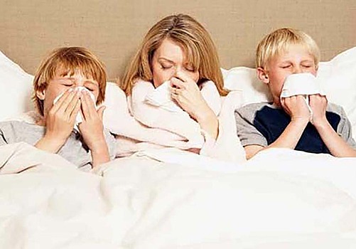 Три вируса гриппа придут в регион