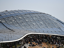 В Москве пройдет выставка работ участников «Московского долголетия»