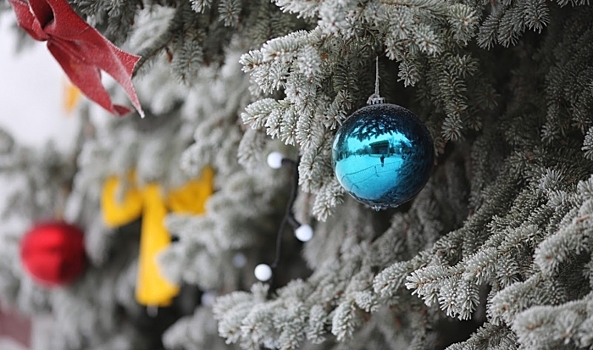 Россияне назвали любимые новогодние традиции