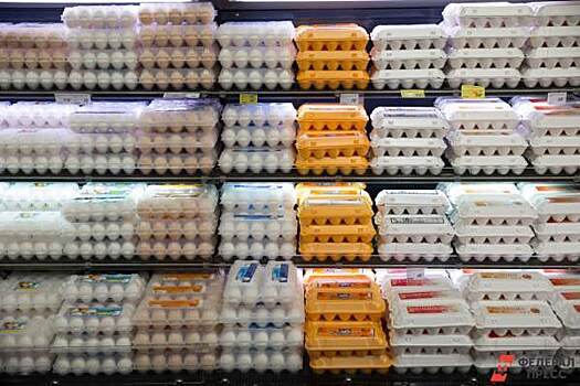 ​«Потери будут колоссальными». ЧП на птицефабрике «Боровской» можно было избежать