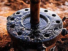 "На всех не хватит": Европейские НПЗ встали в очередь за российской нефтью