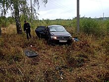 В Глазовском районе водитель иномарки не справился с управлением и погиб в опрокинувшейся машине