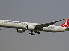 Задержки рейсов Turkish Airlines достигают 16 часов