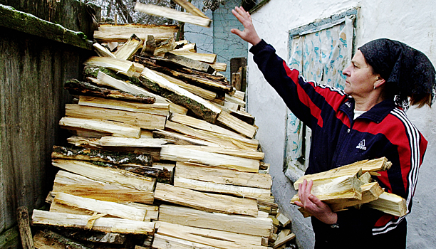 Украине посоветовали запастись дровами