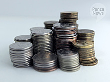 15 пензенских НКО выиграли президентские гранты на сумму около 27,7 млн. рублей