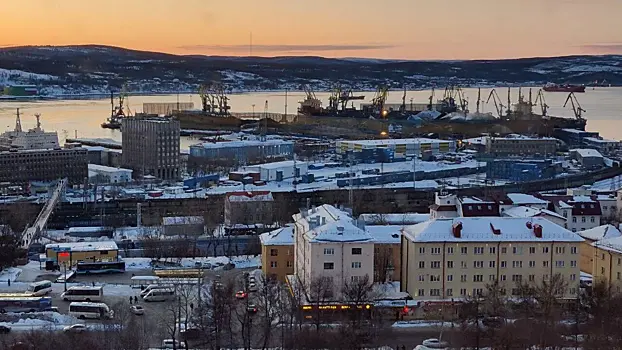 Чибис рассказал о миграционном приросте в Мурманской области