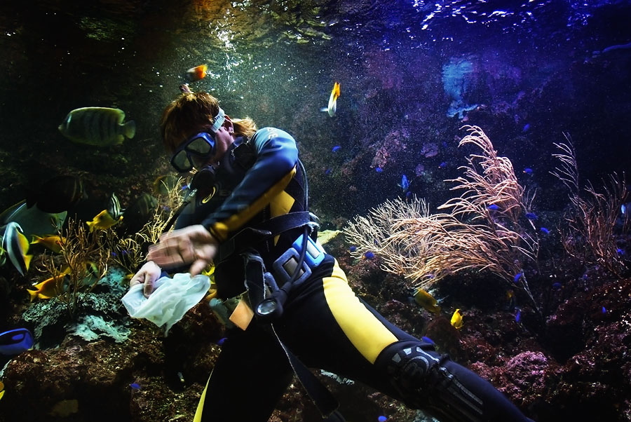 Океанариум Underwater World , Сингапур, Сингапур