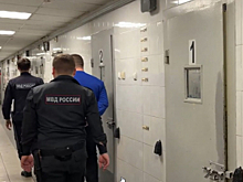 Подмосковные полицейские задержали участников организованной группы, инсценировавшей ДТП для получения страховых выплат