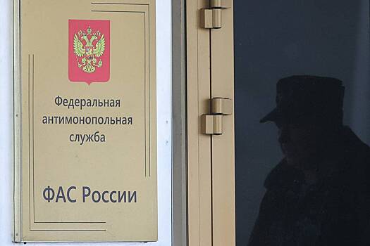 ФАС пообещала не допустить необоснованного роста платы за электричество