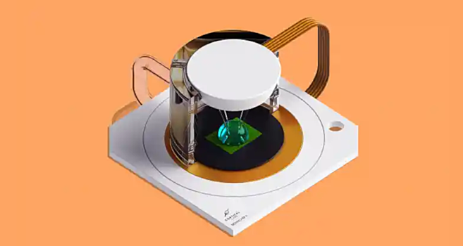 Создан искусственный интеллект на мышиных нейронах