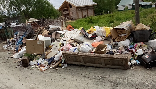 Поселок Чална утопает в грязи: мусор никто не вывозит (фото)