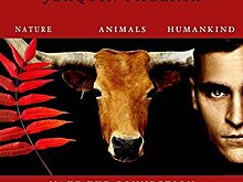 Создатели фильма «Земляне», который прославил луцкий захватчик, высказались о теракте