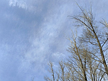 В Самарской области 4 апреля ожидается сильный ветер