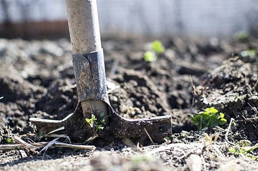 Комитет Госдумы одобрил законопроект о налоговых льготах для садоводов и огородников