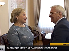 Евгений Люлин встретился с председателем Новгородской областной думы Еленой Писаревой