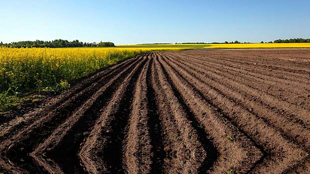 В Татарстане хотят расширить известкование почв