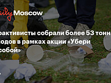 Экоактивисты собрали более 53 тонн отходов в рамках акции «Убери за собой»